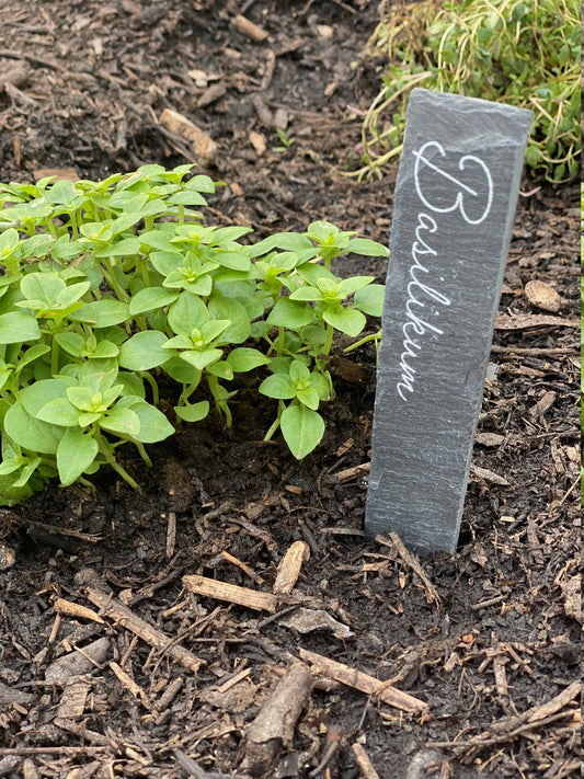 Planteskilte skiffer